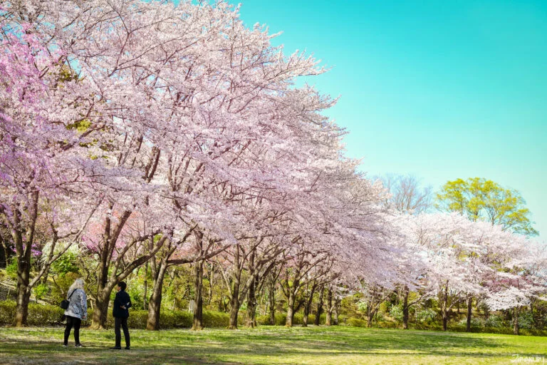 【2026.1.24-27】中国政府、春節前に日本への渡航自粛呼びかけ　経済的威圧の一環か 他