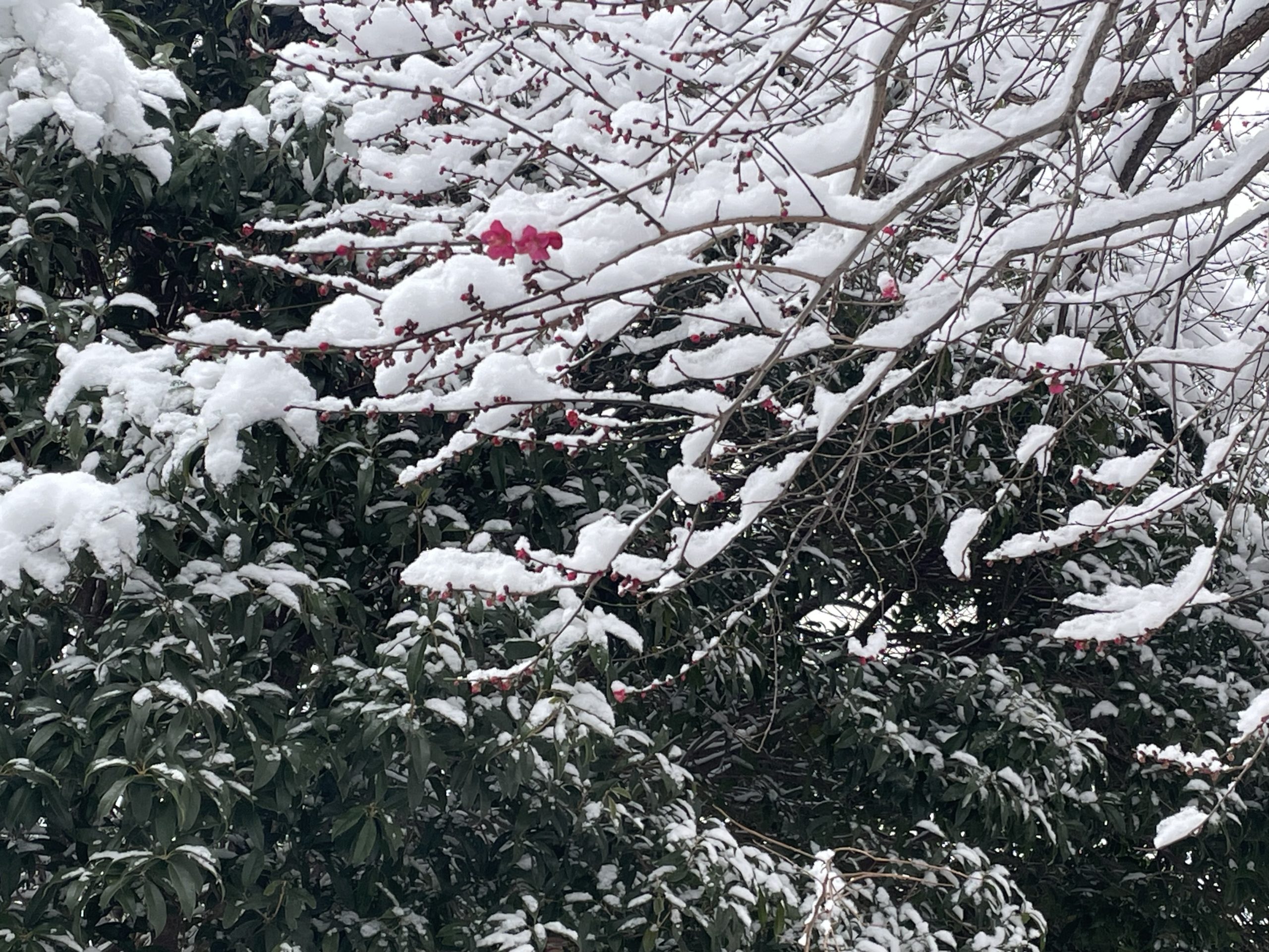 【2026.2.11-13】AI普及で職種構造が変化、再教育が企業・労働者の鍵に