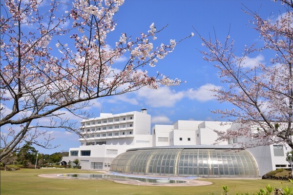 韓国｜日本の桜旅行、「予約戦争」…鹿児島・熊本まで人気拡大