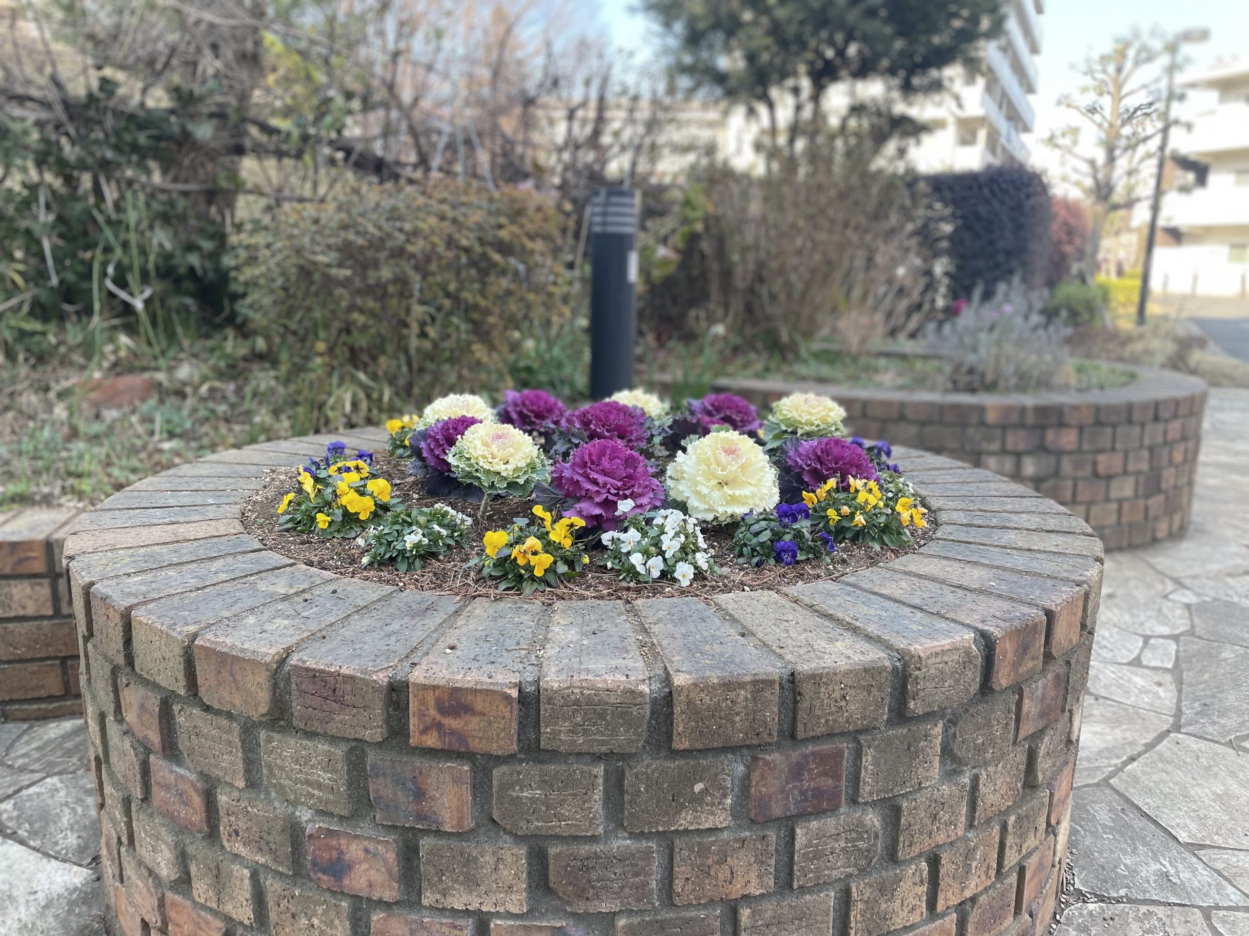 【2026.2.26–27】韓国増便で訪日地方誘客拡大｜台湾リピーター9割｜和牛モデルに海外注目