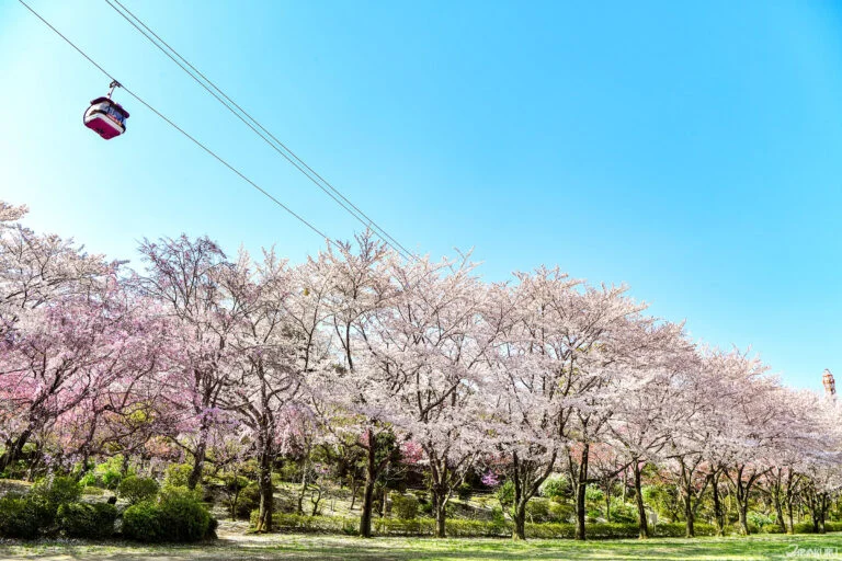 【2026.3.26-27】韓国で短期・高頻度旅行が拡大｜香港エクスプレス世界首位LCCに｜EUがベトナム交通・エネルギー支援｜仏旅行代理店に中東情勢の余波