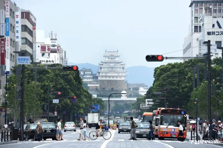 【2026.3.1–3】春節後の旅行需要変化｜中東情勢で航空混乱｜WBC効果とレビュー疲れ