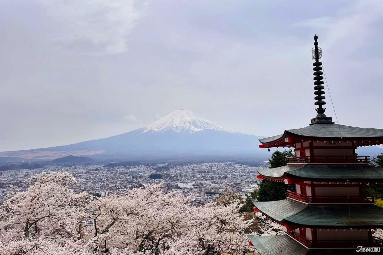 【2026.3.28-31】中国で「カラーウォーク」人気拡大｜台湾で鎮痛薬乱用に警鐘｜タイ主要観光地でホテル稼働率低下｜インドネシア大統領が訪日