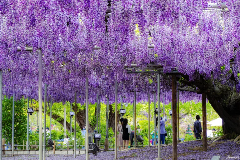 【2026.3.11–13】中国でAI「ザリガニ」ブーム｜韓国女性の海外旅行が世界1位｜ベトナム女性幹部登用が拡大