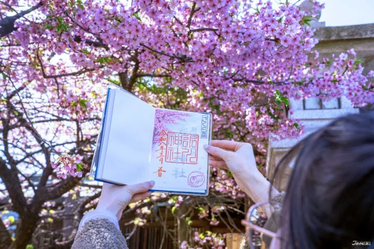 【2026.3.4–6】桜シーズンの訪日需要｜福岡〜香港線が毎日運航｜ベトナムAI法と次世代AIデバイス