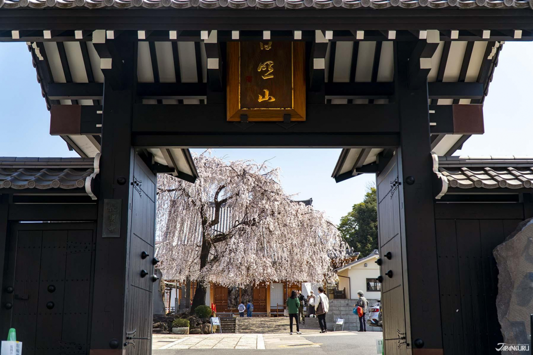 【2026.3.20-24】中国でAI人材争奪戦激化｜台湾で訪日“爆買いあるある”話題｜香港でGemini解禁｜仏地方選で左派再編論