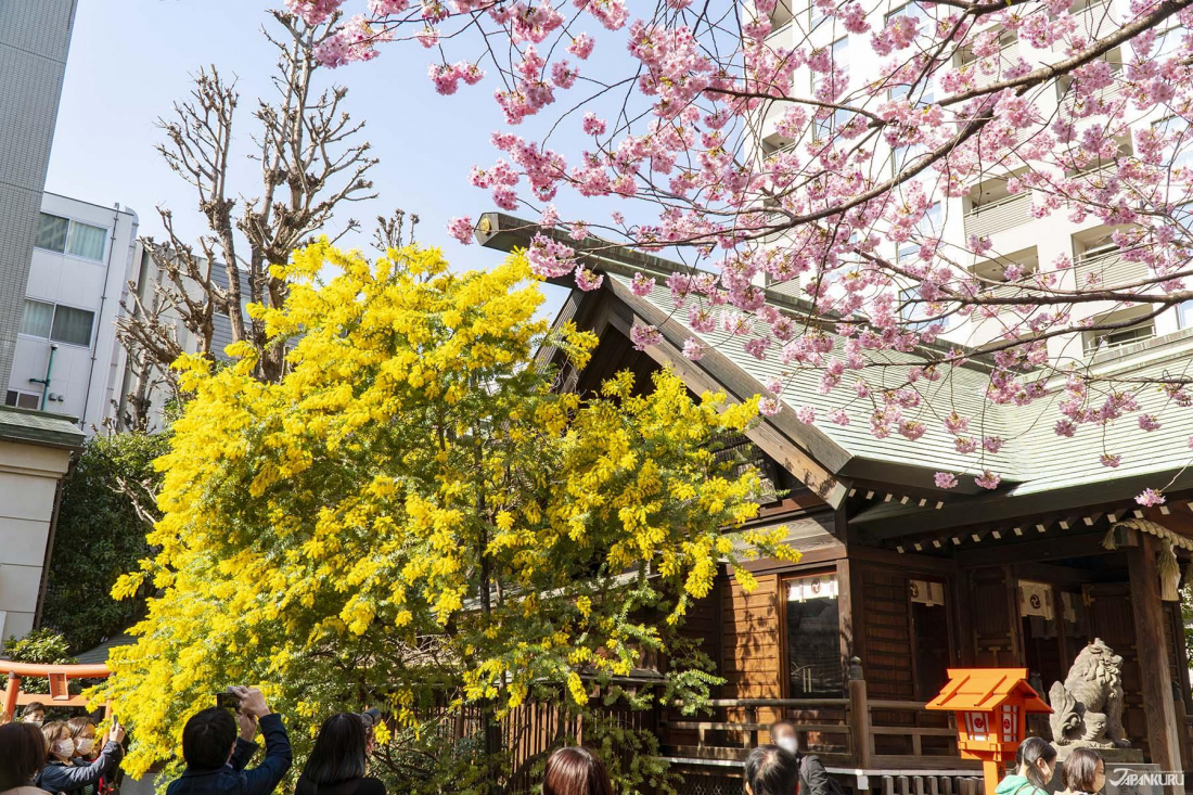 【2026.3.14–17】燃料高騰で観光コスト上昇｜韓国訪日100万人月間最多｜ベトナム外食価格最大50％値上げ