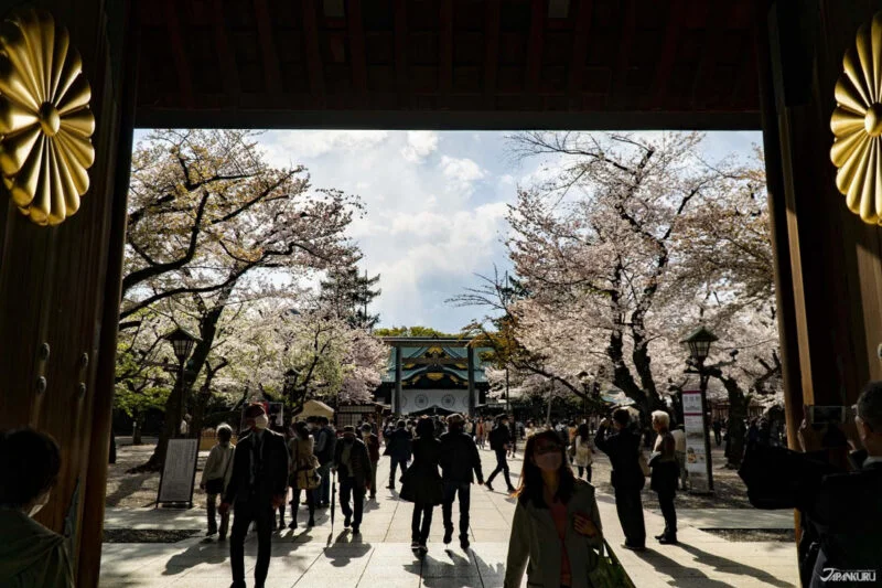 【2026.3.7–10】「桜とゴルフ」春旅行人気｜インドネシアで地方税デジタル化｜中国で伝統芸能の継承