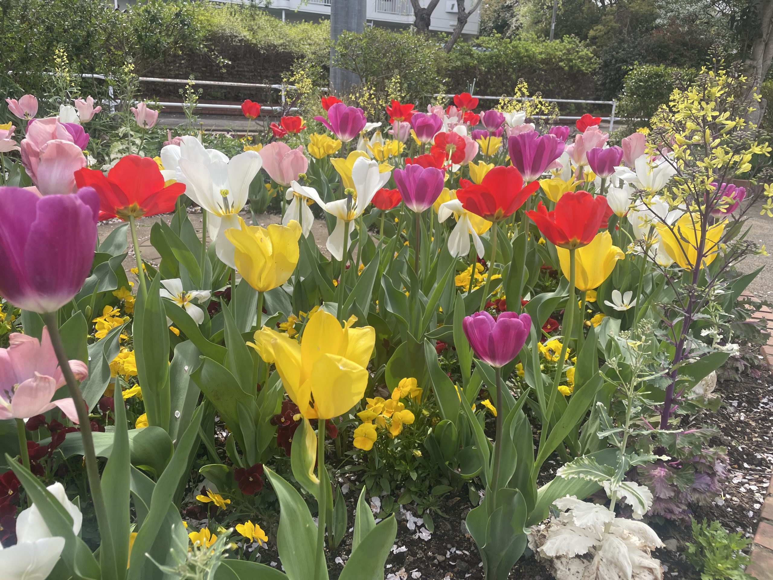 【2026.4.8-10】香港の漁船8割が出漁停止｜原油高がASEAN直撃｜インドネシアは補助金維持｜中東情勢で旅行先に変化