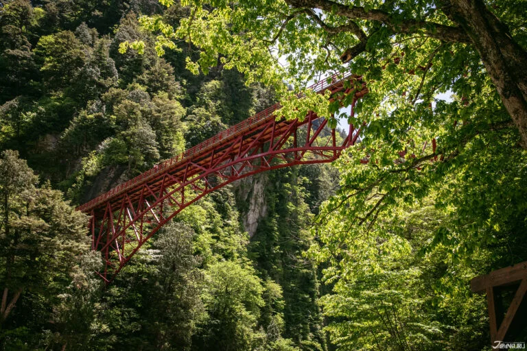 【2026.4.1-3】韓国MZ世代に訪日旅行が人気な理由｜台湾でピカチュウジェット2号機公開｜ベトナム人材受け入れ拡大｜インドネシア投資協力に注目