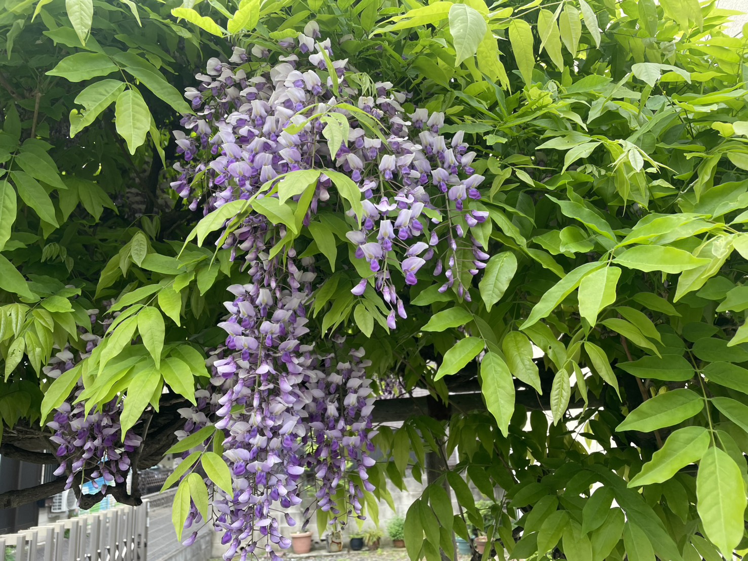 【2026.4.17-21】ホルムズ海峡緊張で原油高騰｜香港で路線調整｜韓国・金海空港の国際線増｜インドネシアで研究資金拡大