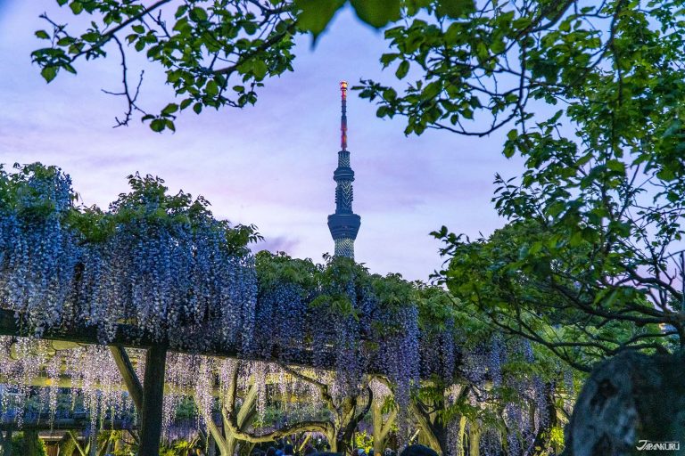 【2026.5.2-8】中国で小都市旅行が人気｜韓国は近距離旅行好調｜フランスがホルムズ海峡再開要求｜Uberがホテル予約開始
