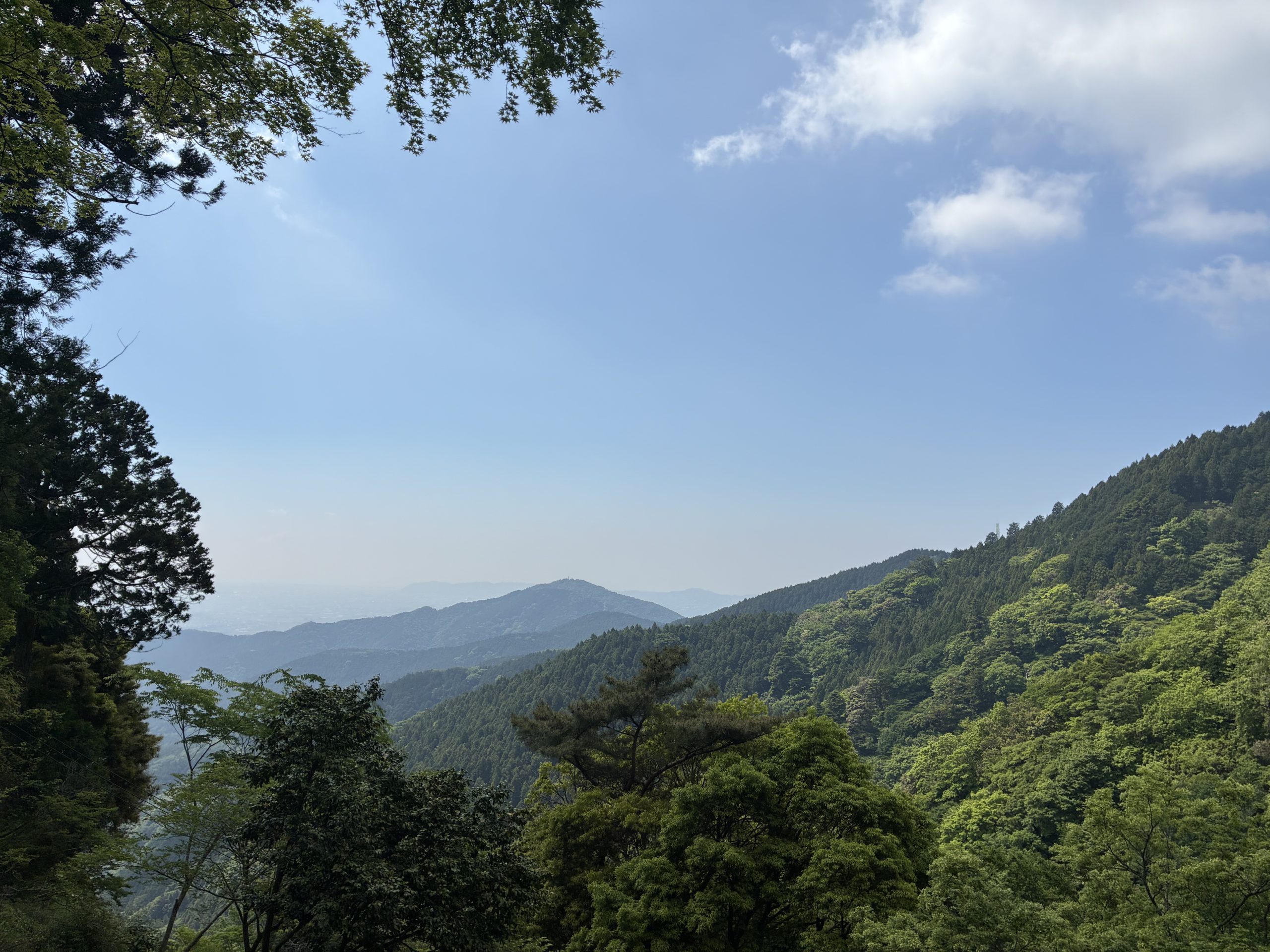 【2026.6.17-19】韓国の燃油サーチャージ値下げ｜ベトナムの航空補償強化｜欧州発SNS「W」公開｜メルカリジャパン米国展開