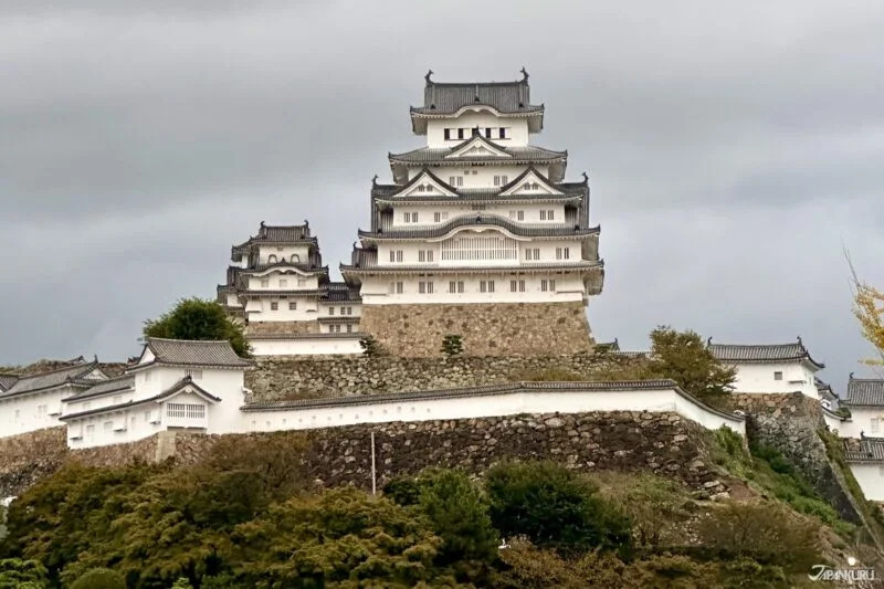 【2026.8.5-7】韓国で猛暑を背景に日本旅行が増加｜台湾人が日本のドラッグストアに通う理由｜ベトナム旧正月休暇が最長10日間へ｜インドネシア経済成長率5.29％